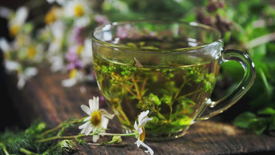 Ungüento de caballo calentador Forte para personas Fórmula 101 + 1 con cáñamo - 500ml